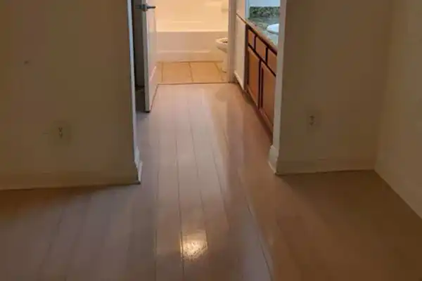 Move-In Cleaning Service
