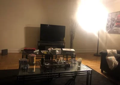 Professional Cleaning Services (10)