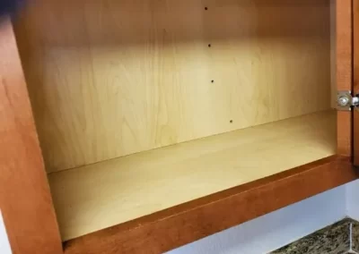 Professional Cleaning Services (12)